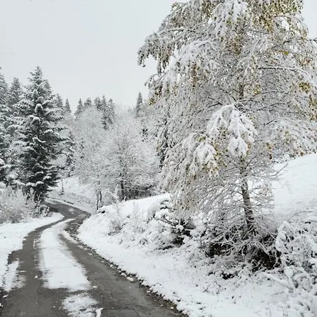 Zasiedmiogorek - W Beskidach * Milowka